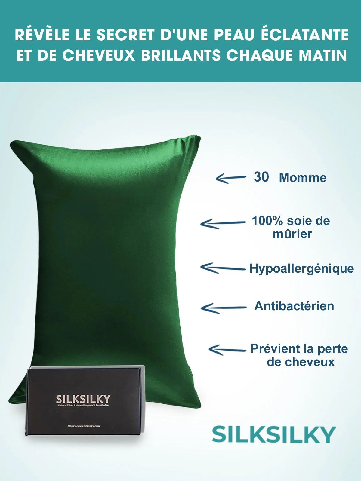 2x Taie d’Oreiller Simple Enveloppée En Soie Luxueuse 30Momme - Image 37
