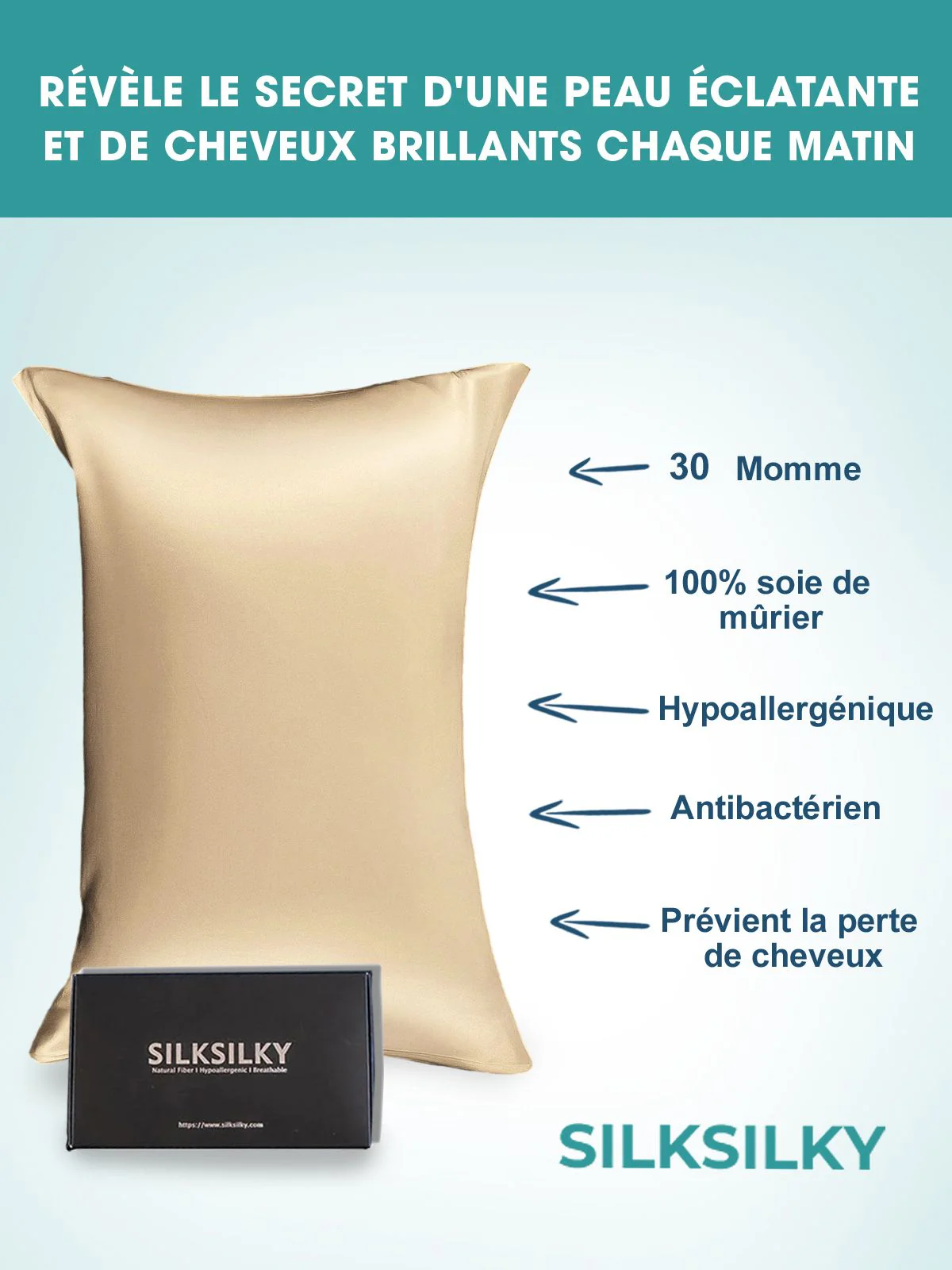 30Momme Luxueuse Taie d’Oreiller en Soie Simple Enveloppée - Image 48